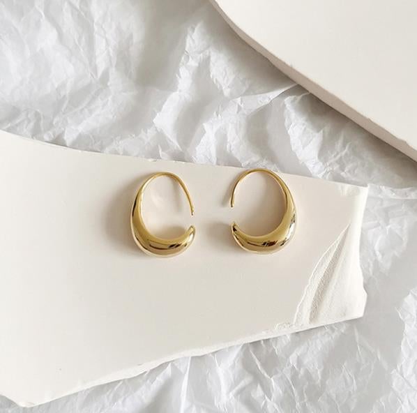 Elegant Silver and Gold Earrings