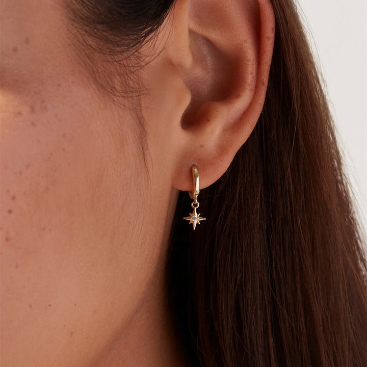 Earrings of Voodoo