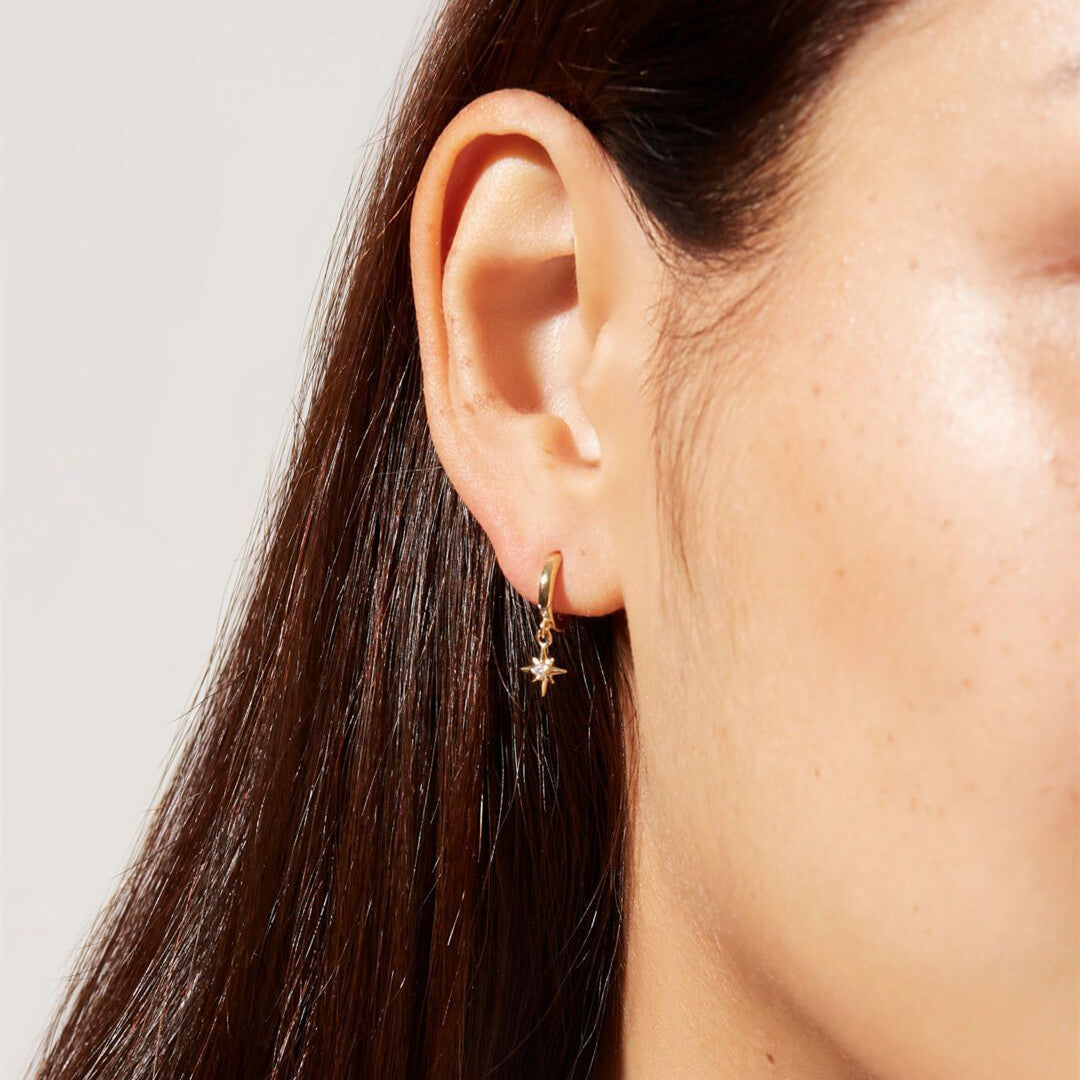 Earrings of Voodoo